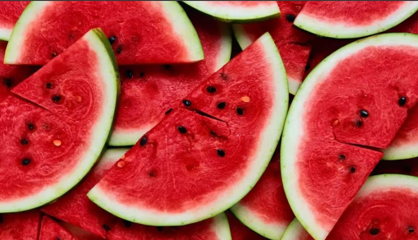 Crônica da semana: O sol que alimenta melancias