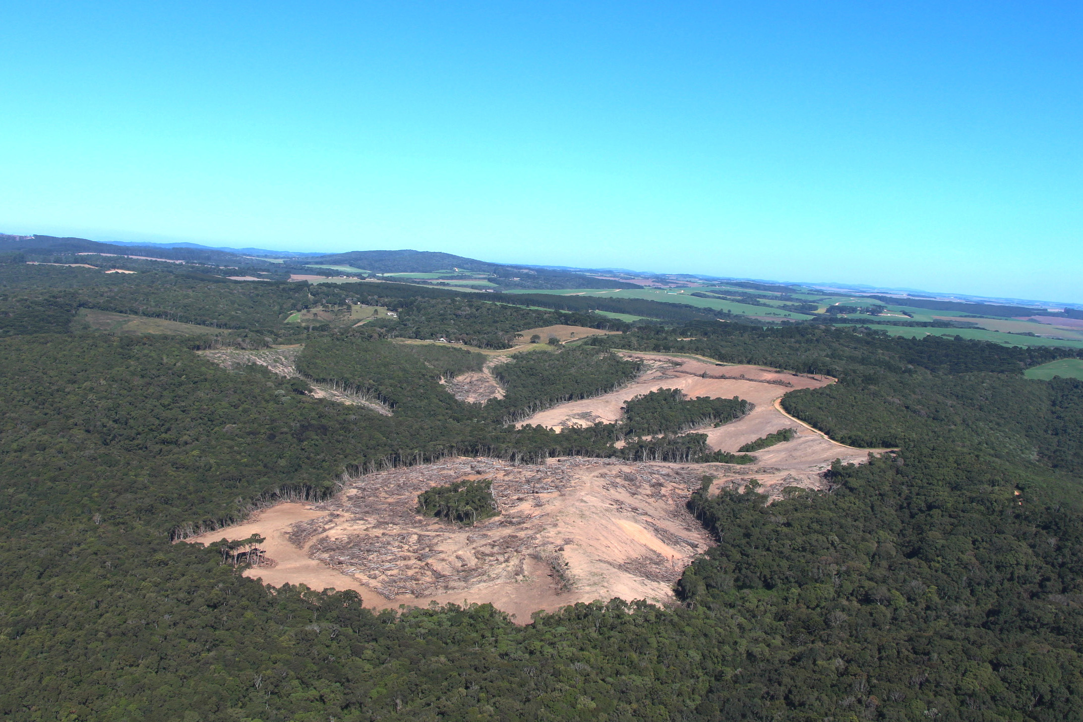 IAT identifica 31,1 hectares de área desmatada nos Campos Gerais