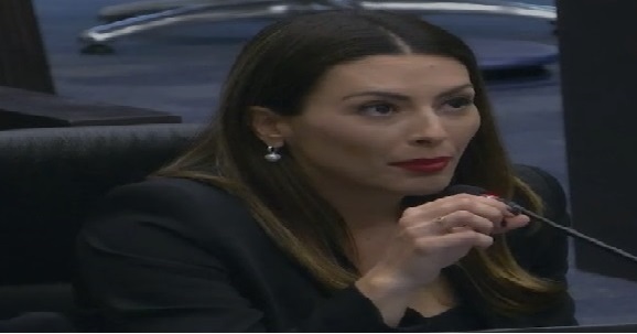 Deputada Mabel Canto vota contra privatização das escolas do Paraná