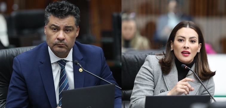 Veja os projetos de lei do primeiro semestre de 2025 dos representantes de PG na Alep: Rangel e Mabel
