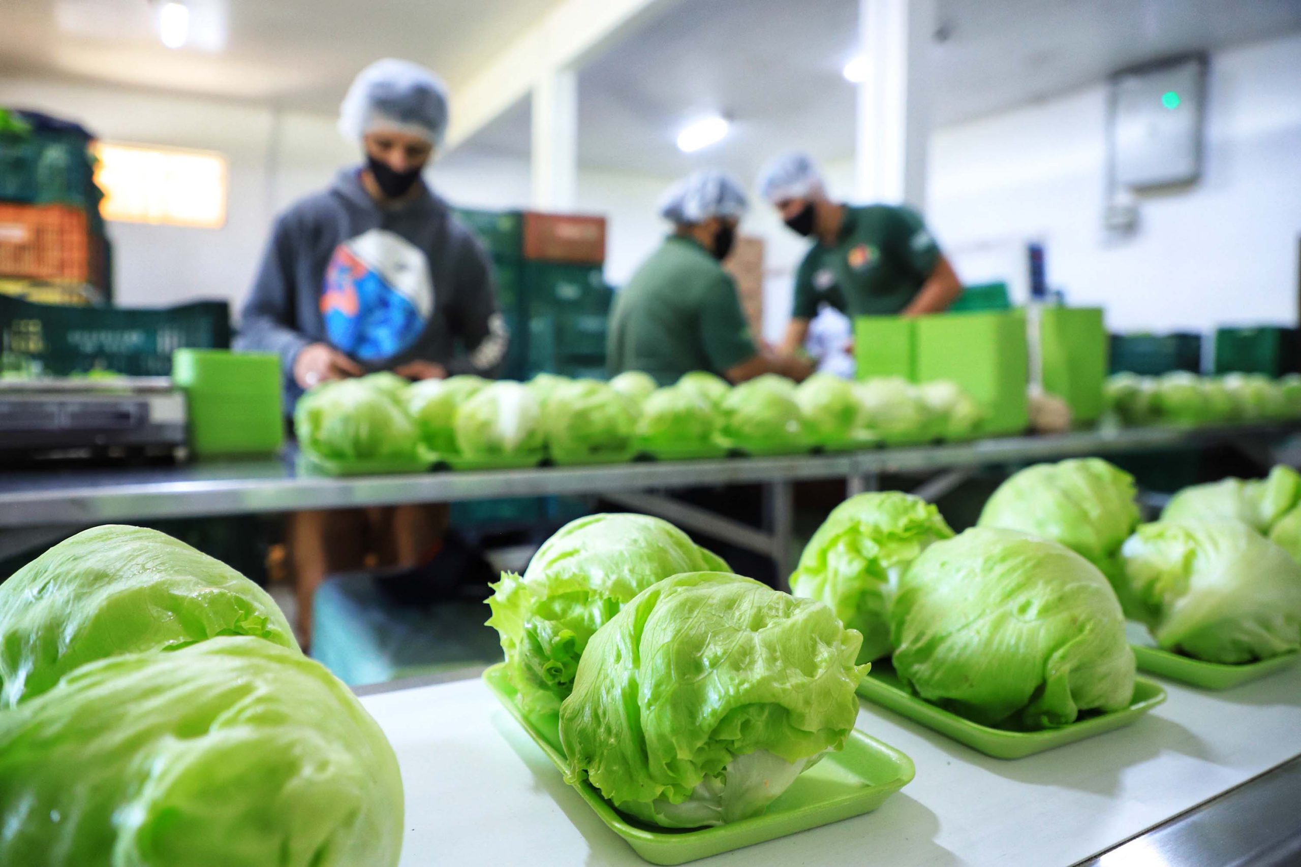 Paraná amplia vantagem como maior produtor de orgânicos do país